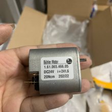 Ӧ¹BUhler Motor  Gear Motor 29 flat
