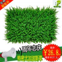 特密尤加利波斯草人工塑料花假草皮水果地毯装饰仿真植物绿植墙