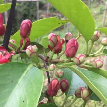 ���ϻ�������ˮ��������Ʒ�����ļ���������Ե�����