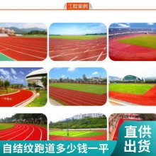 全塑自结纹塑胶跑道 室外娱乐休闲场所专用 维护简便 可提供设计