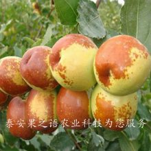23ֶ硢3ֶһõļǮ