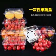 装250克樱桃的塑料透明盒子 一次性果蔬包装盒