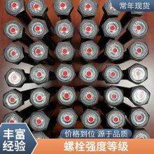 GB70ɫ12.9ǿԲͷ˿ͷ˨SmartBoltS-Ӿָʾ˨