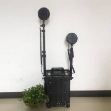 FW6106Яƶϵͳ 2*27W
