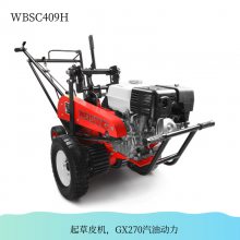 ƤWBSC409Hάweibangʽ35cmƤжϻ