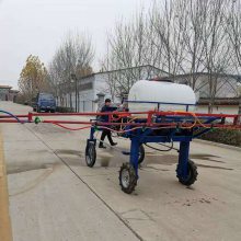 高架农作物喷雾机 四轮座驾式打药机 园林果树喷药机