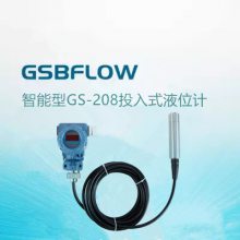 ӦGSBFLOWGS-208ͶʽҺλ