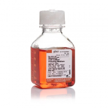 ĬThermoFisher Recovery? ϸ 12648010