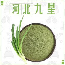 食品级香葱粉厂家 香葱粉干葱粉绿葱粉脱水香葱调料原料