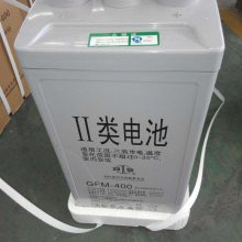 ˫GFM-300/2V300AH 