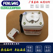 芬隆RST4半导体快速熔断器-厂家直销