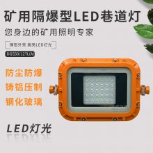 DGS48/127L(A)矿用隔爆型LED巷道灯益煤品牌