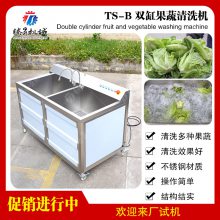 商用水果蔬菜清洗机 单缸双缸漂烫机 气泡清洗 超声波洗菜机 ***