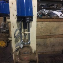 Ӧ 綯¿ص綯ڷ ZZWEP-16C DN200 ʽ綯¶ȵڷ