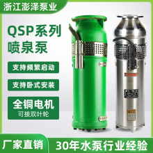 水浸式QSP景观喷泉泵变频售楼部QSP25-25-3