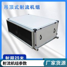 吊顶式射流空气处理机组净化组合式新风系统恒温恒湿中央空调机组 直膨式空调远程射流机组