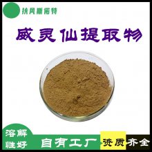 威灵仙提取物 斯诺特品牌 规格10:1 浓缩喷雾干燥粉 一公斤起订
