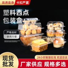 塑料包装盒 糕点盒 水果盒 肉片盒 PET材质