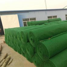 公路边坡种草护土园林绿化用施工方便塑料三维植被网