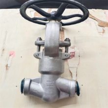 J61Y压力自紧式高温高压锻钢承插焊截止阀