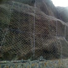 ·_ӱ·_Ա·