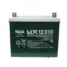 UNIONMX1231012V31AH ֱ UPS/EPSԴ