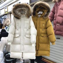 北京女装棉服 休闲冬季羽绒服 尾货处理 中长款女式棉衣