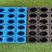 生产草莓育苗盘厂家