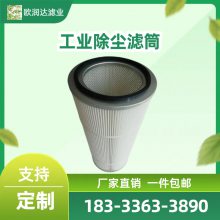 扫地车吸尘滤清器300*150 除尘滤芯350*700 粉尘滤筒350*900