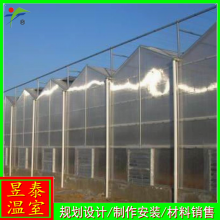 阳光板玻璃连栋温室蔬菜种植花卉市场大棚YTWSWL1203