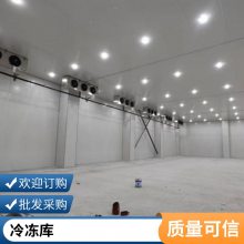 冷库冻库保鲜库 冷藏库 光速冷库安装 款式多样 支持定制