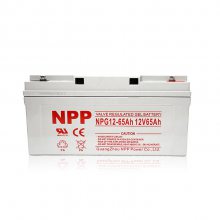  NPG12-65 ʽ 12v65AH ֱ UPSԴ