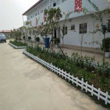 户外塑钢绿化带栏杆 塑料花园隔离围栏 花池花圃庭院小篱笆