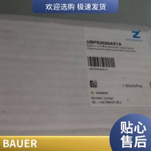 BauerͬٵBG40-11/DHE09SA4 ¹ֱ