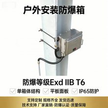 防爆配电箱接线箱 BJX-63 ExdIICT6 防爆端子分线箱 可非标定制