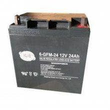 ͨ6-GFM-38 12v38AHͺż