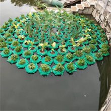 ֲֲ̬︡︡