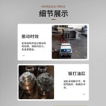 YDM-100T ʽ崲 100ֱʽҺѹ崲 ϳѹ