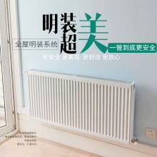 暖气片家用明装水暖散热器采暖设备安装武汉燃气壁挂炉供暖系统