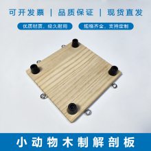 蛙类木制解剖板木制可扎钉小鼠手术台大鼠解剖板好捆绑送棉绳