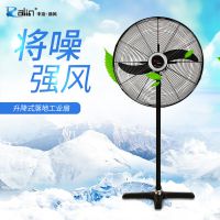 650mm26紿ͭǿţ***ҵȳ/