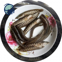 Դ繺  繺
