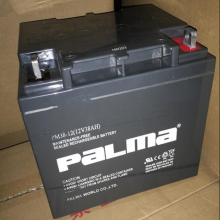 PALMAǦάPM38-12 12V38AH UPS/EPSֱ