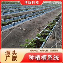 玫瑰种植槽 无土栽培鲜切花种植槽 双排支架种植槽