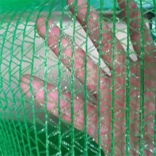 盖沙遮阳网 工地覆盖绿网 聚乙烯扁丝防尘网 瑞莱丝网