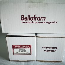 Bellofram T-50ѹ960-069-000ѹ