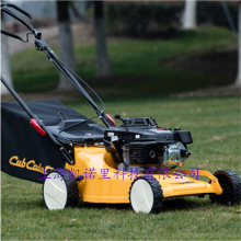 ƵCub Cadet 19CUT880ĳ̱ﶯƺƲݻ