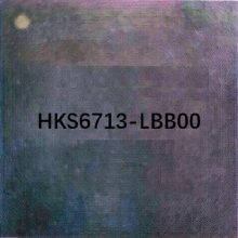 HKS6713-LBB00紧凑型扩展DSP信号处理器