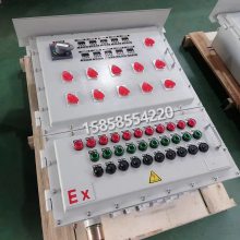 不锈钢防爆动力配电箱 钢板焊接自耦减压启动器柜 软启动器控制柜