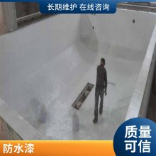 双组分防水防腐涂料 水池管道冷却塔隧道化工设备耐酸碱防腐漆